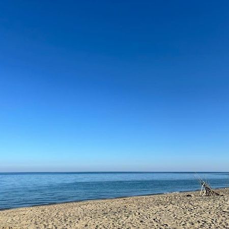 Appartement Bord De Mer Le Barcarès Εξωτερικό φωτογραφία